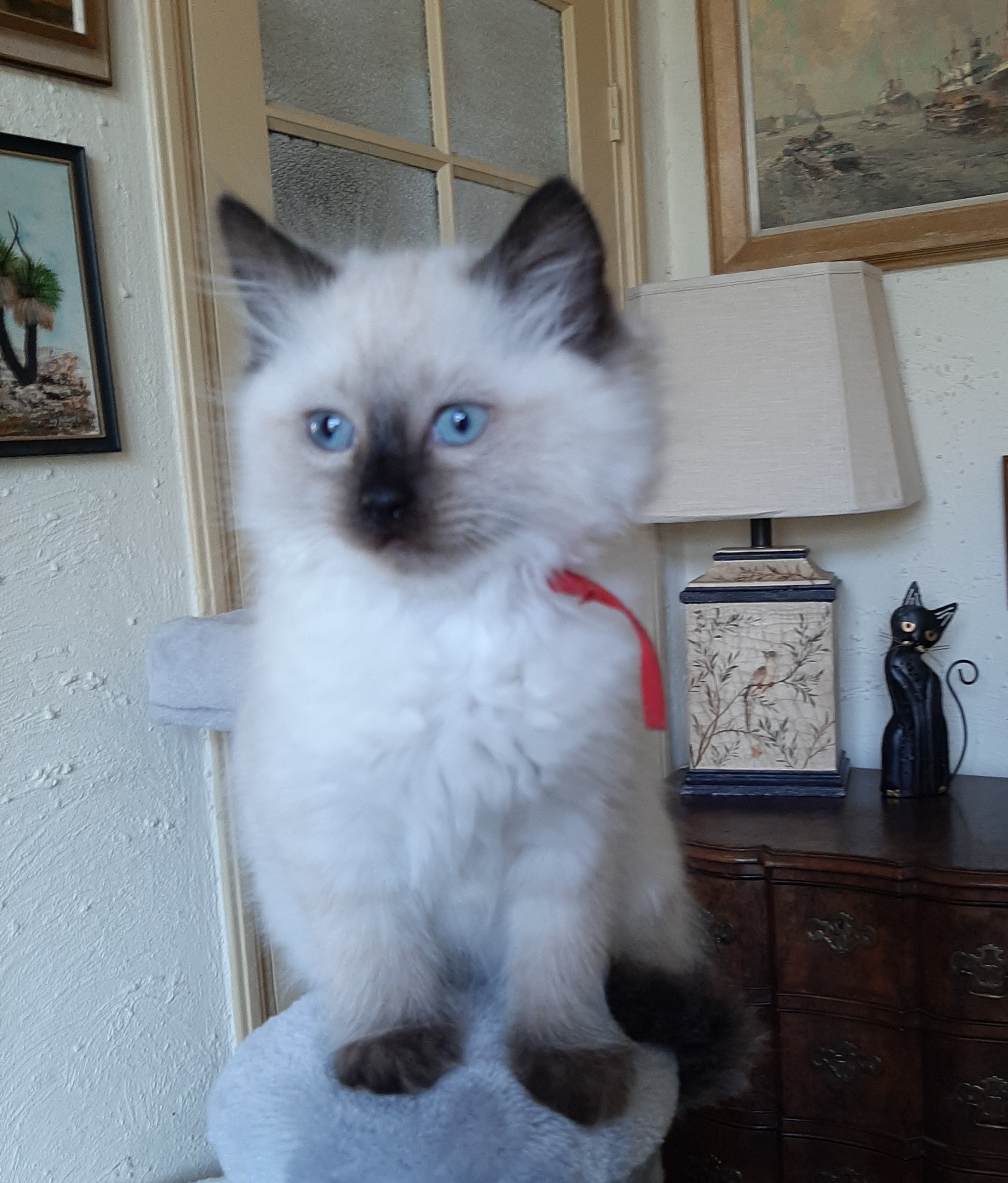 Lola_Duquette_20_3_25.jpg Lola_Duquette_20_3_25.jpg