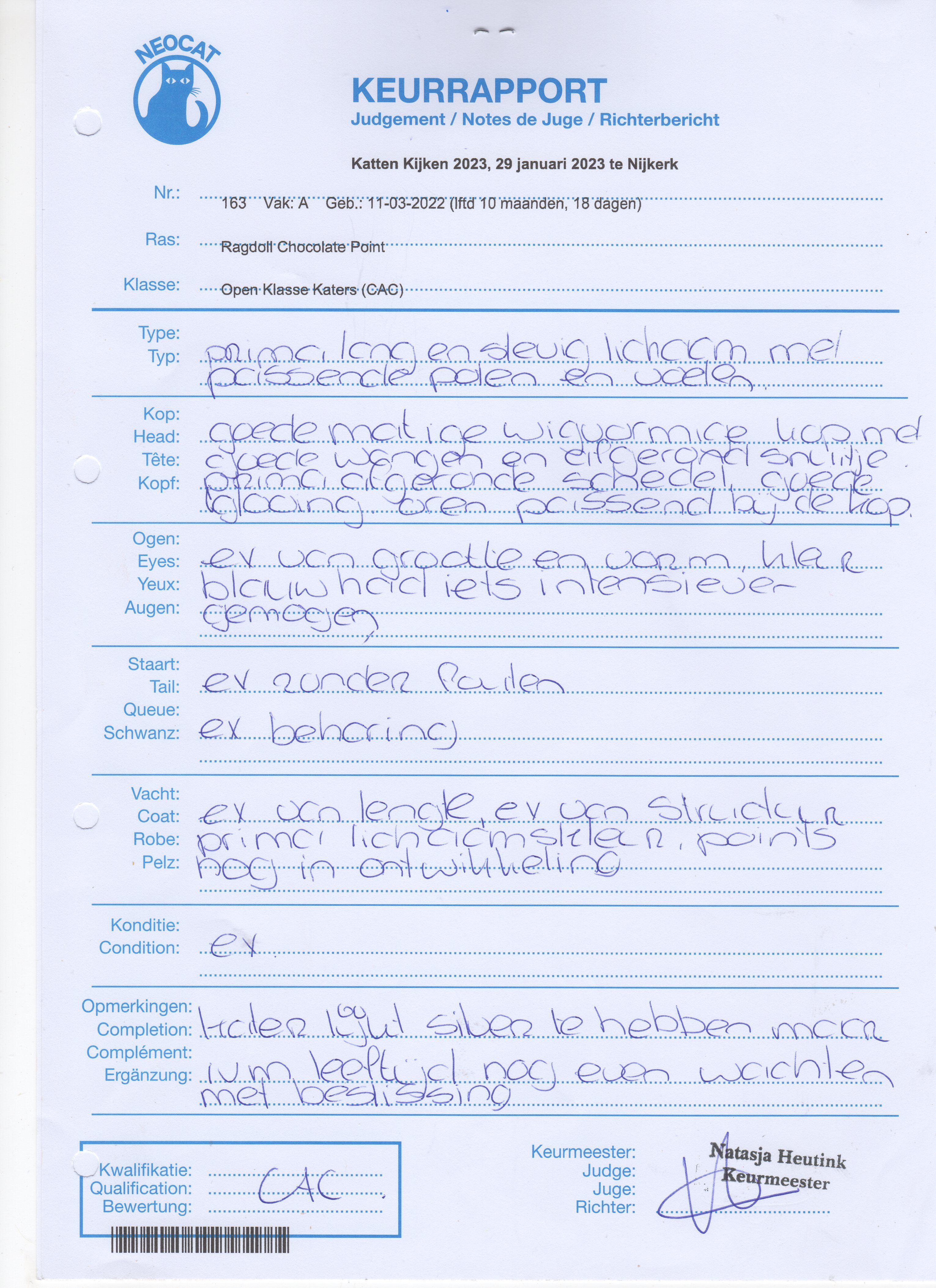 CAC_Keurrapport_King_Billie_29_01_23_Nijkerk.jpg CAC_Keurrapport_King_Billie_29_01_23_Nijkerk.jpg